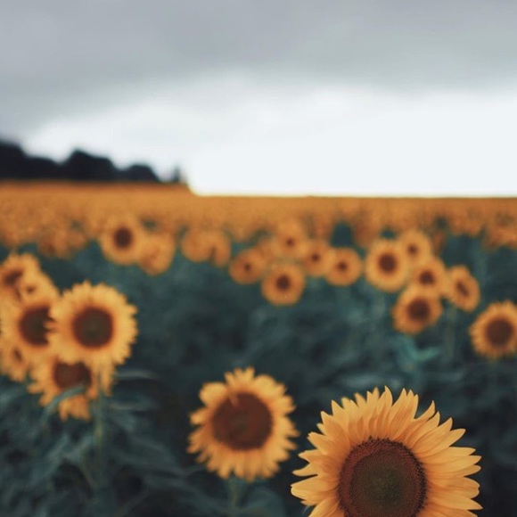 Meet your Posher, Faith - Picture 1 of 1